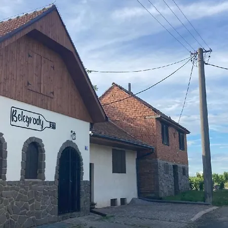 Belegrady 311 Velké Bílovice