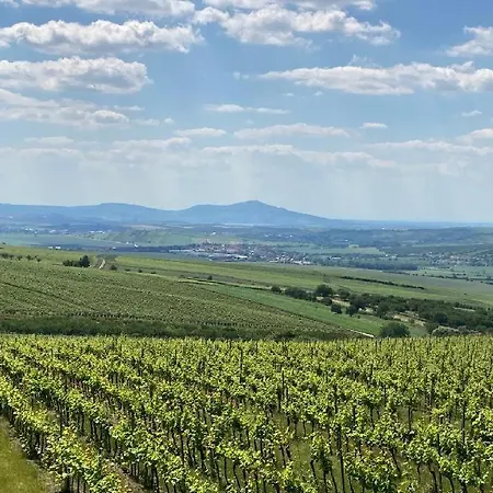 Orman Evi Belegrady 311 Velké Bílovice
