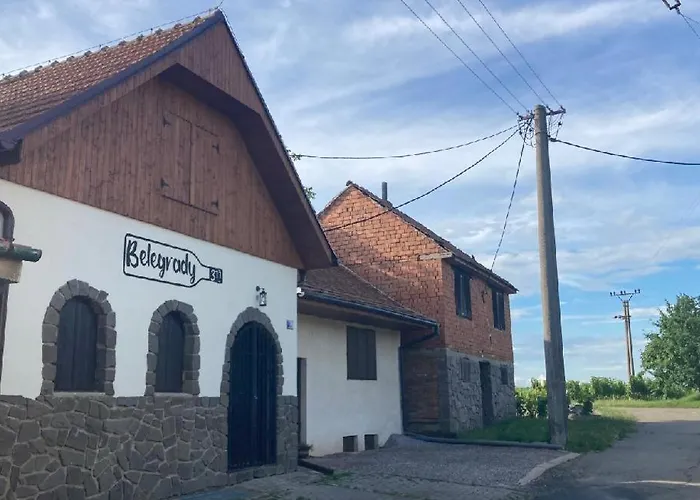 Belegrady 311 Velké Bílovice