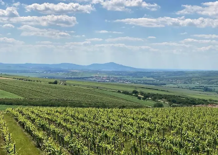 Orman Evi Belegrady 311 Velké Bílovice